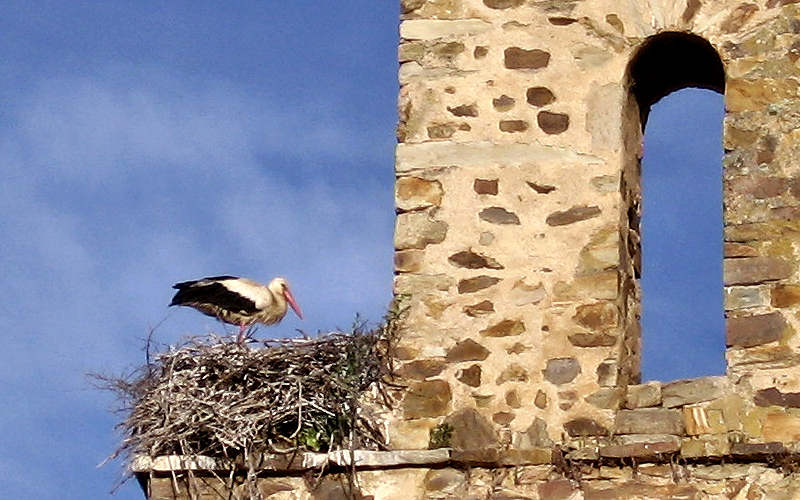 Rabanal del Camino