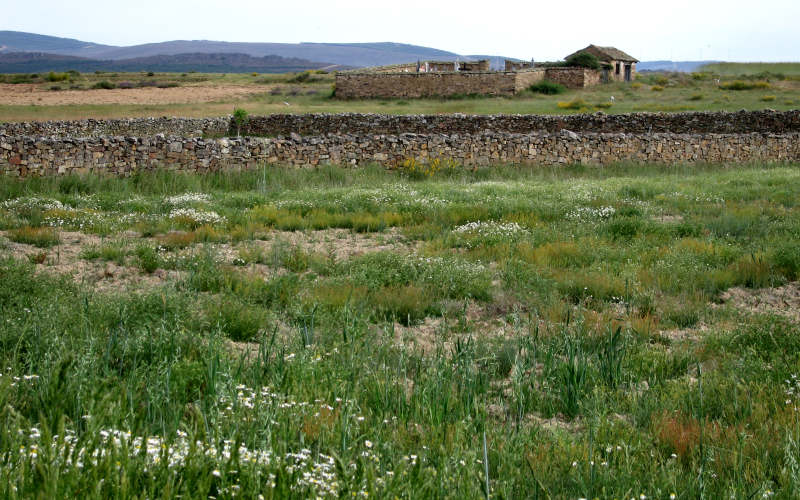 Rabanal del Camino