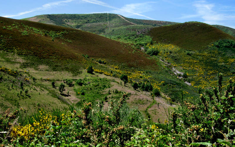 Bierzo - Cebreiro