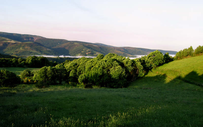 Galizia