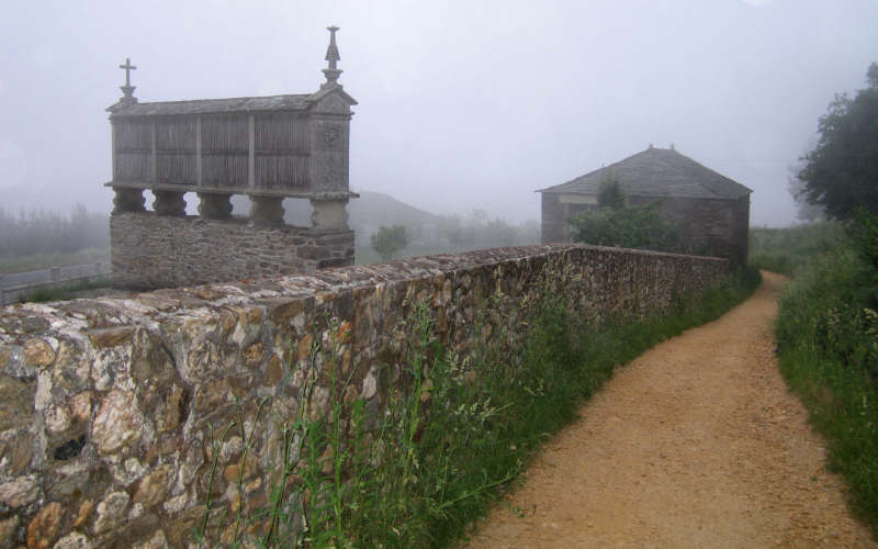 Galizia