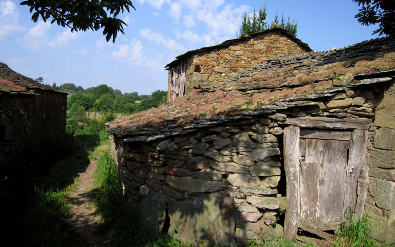 Galizia