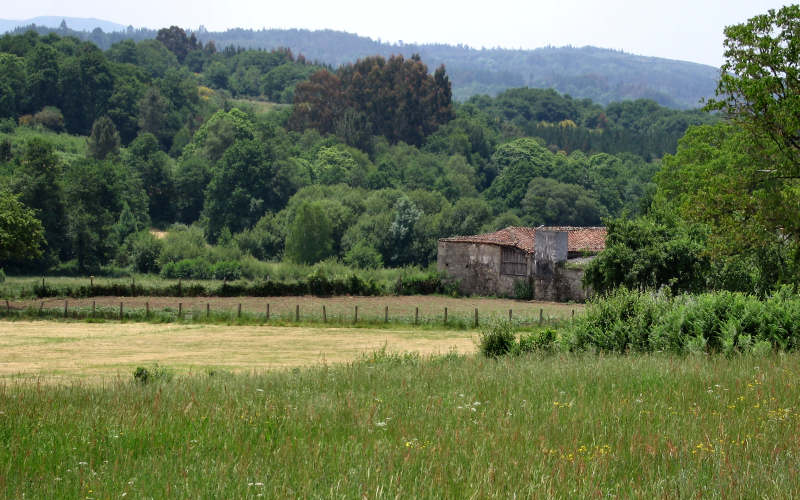 Galizia