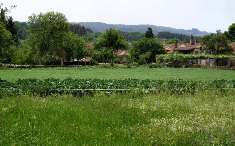 Galizia
