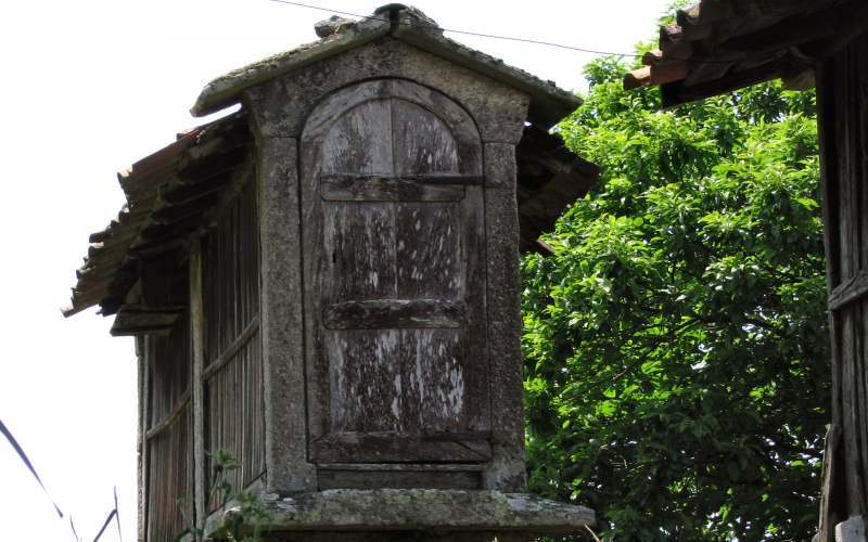 Galizia