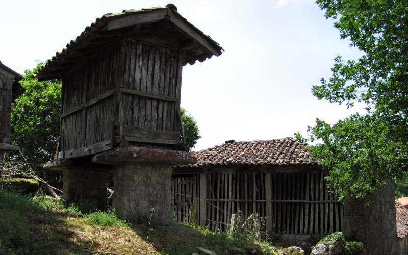 Galizia