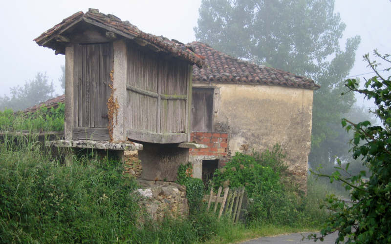 Galizia