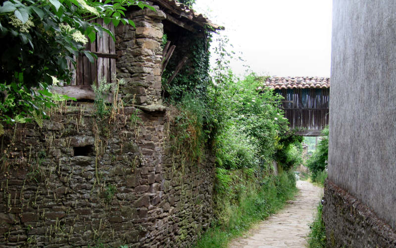 Galizia