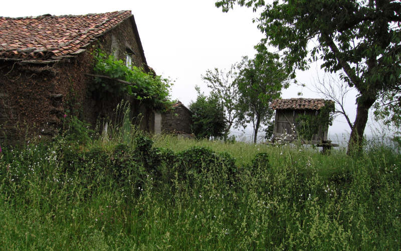 Galizia