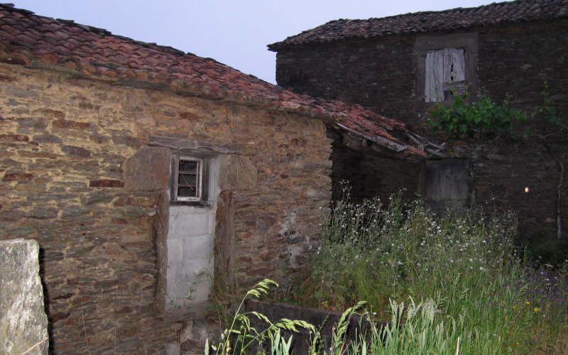 Galizia