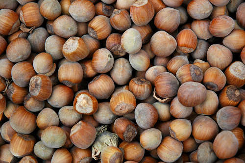 frutta e verdura