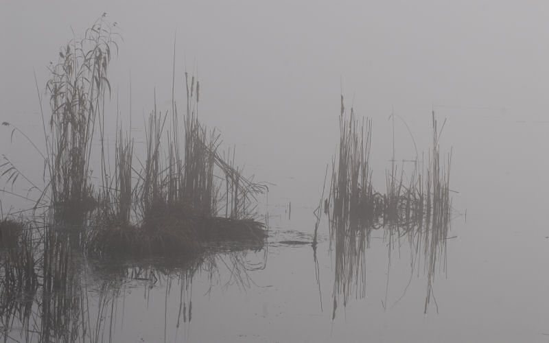 Lago di Fimon / superfici, acqua, nebbia - surface, water, fog