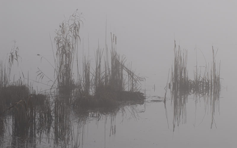 Lago di Fimon / superfici, acqua, nebbia - surface, water, fog