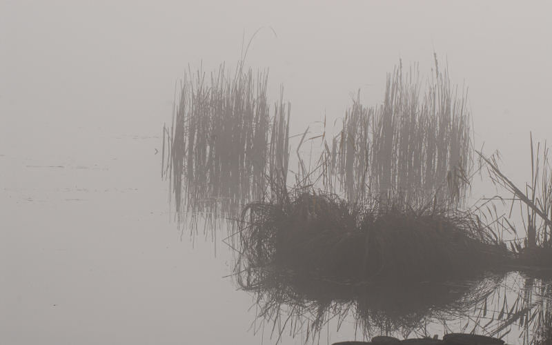 Lago di Fimon / superfici, acqua, nebbia - surface, water, fog