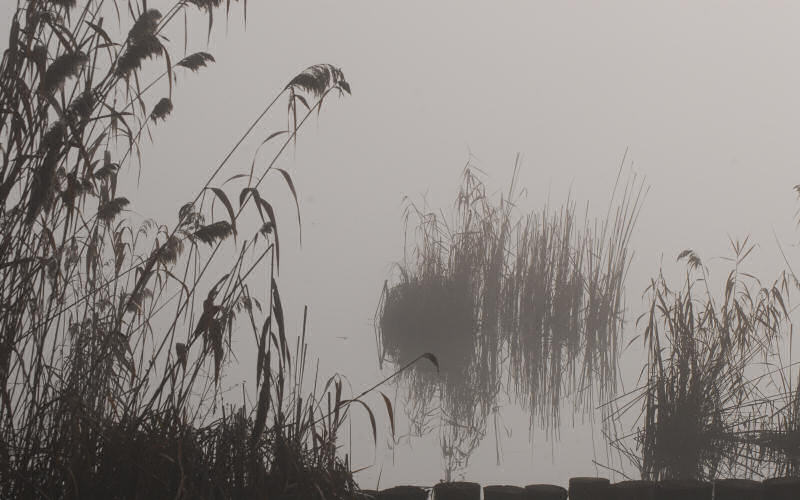 Lago di Fimon / superfici, acqua, nebbia - surface, water, fog