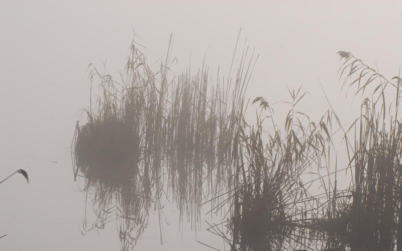 Lago di Fimon / superfici, acqua, nebbia - surface, water, fog