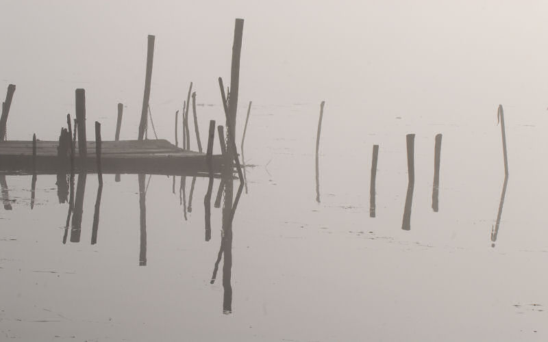 Lago di Fimon / superfici, acqua, nebbia - surface, water, fog