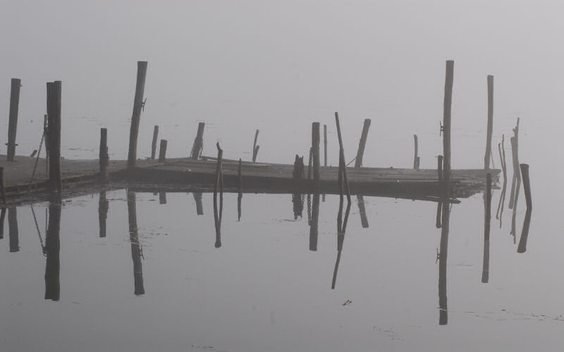 Lago di Fimon / superfici, acqua, nebbia - surface, water, fog