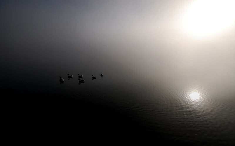 Lago di Fimon / superfici, acqua, nebbia - surface, water, fog