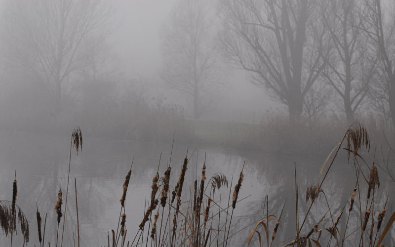 Lago di Fimon / superfici, acqua, nebbia - surface, water, fog