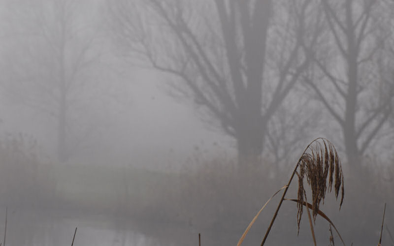 Lago di Fimon / superfici, acqua, nebbia - surface, water, fog