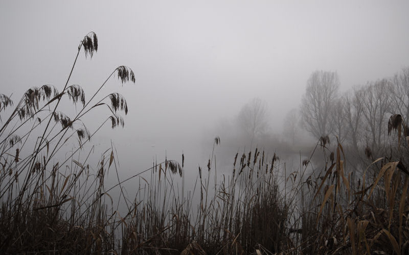 Lago di Fimon / superfici, acqua, nebbia - surface, water, fog