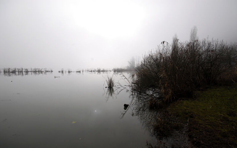 Lago di Fimon / superfici, acqua, nebbia - surface, water, fog