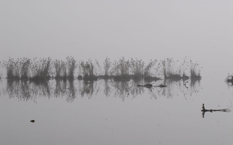 Lago di Fimon / superfici, acqua, nebbia - surface, water, fog