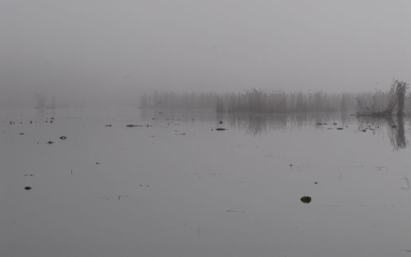 Lago di Fimon / superfici, acqua, nebbia - surface, water, fog