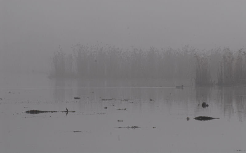 Lago di Fimon / superfici, acqua, nebbia - surface, water, fog