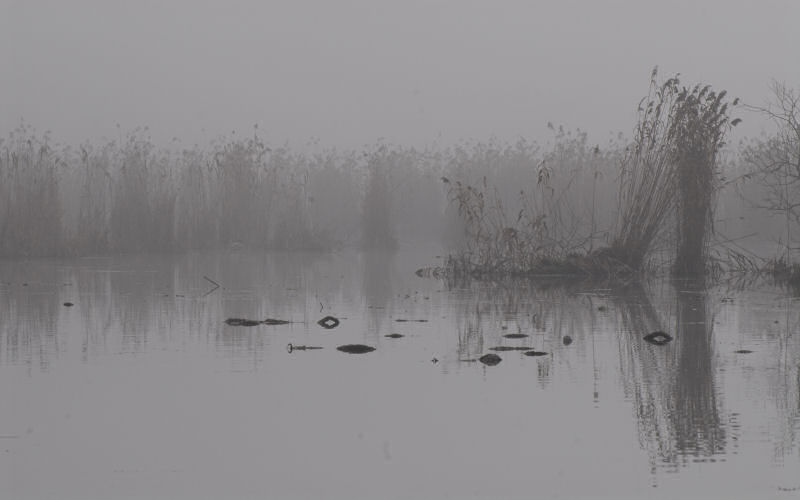 Lago di Fimon / superfici, acqua, nebbia - surface, water, fog