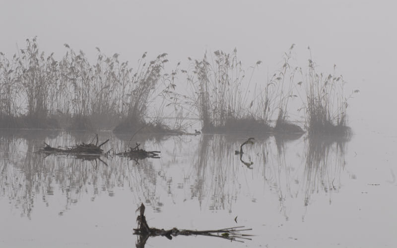 Lago di Fimon / superfici, acqua, nebbia - surface, water, fog