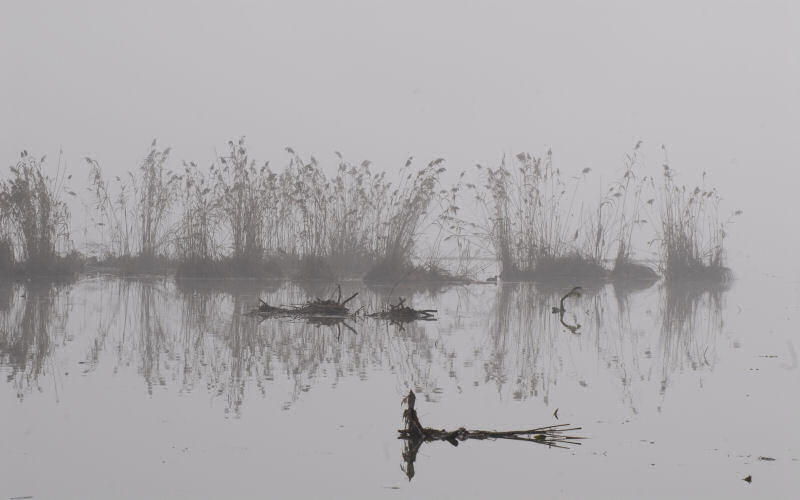 Lago di Fimon / superfici, acqua, nebbia - surface, water, fog