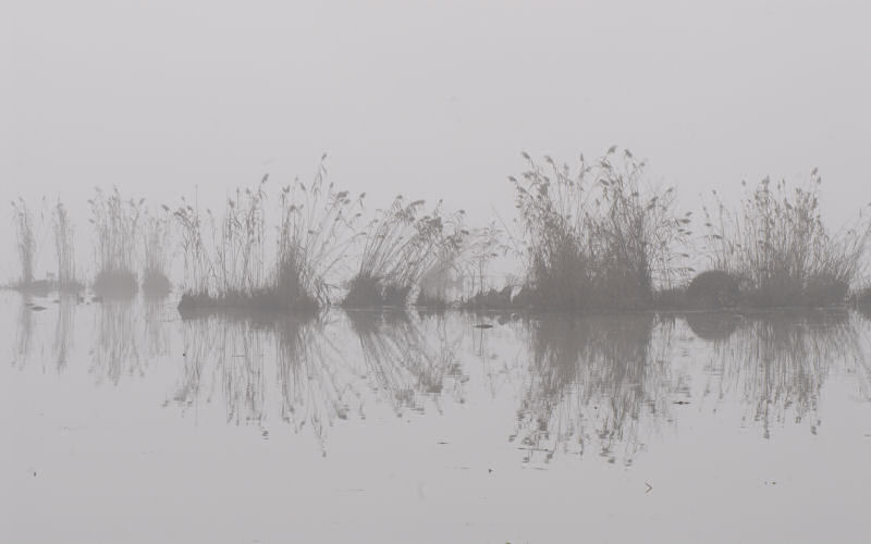 Lago di Fimon / superfici, acqua, nebbia - surface, water, fog