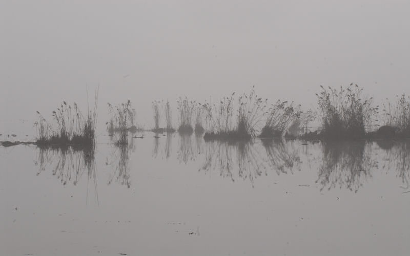 Lago di Fimon / superfici, acqua, nebbia - surface, water, fog