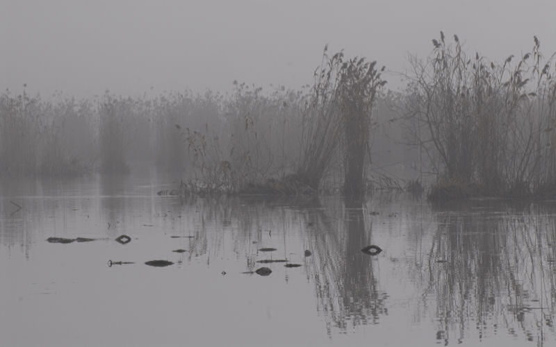 Lago di Fimon / superfici, acqua, nebbia - surface, water, fog