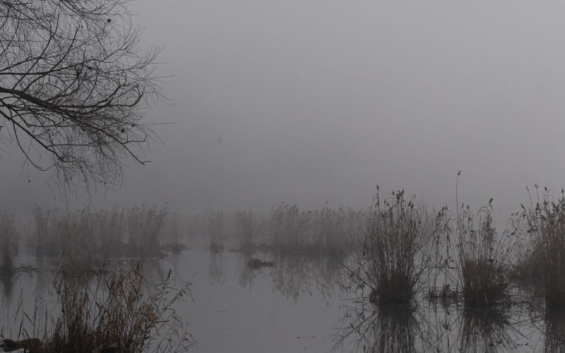 Lago di Fimon / superfici, acqua, nebbia - surface, water, fog