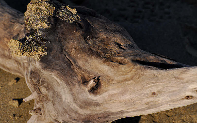 faces, face, legno, wood