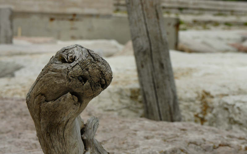 faces, face, legno, wood