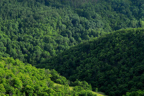 Appennino Emiliano, Pietracolora