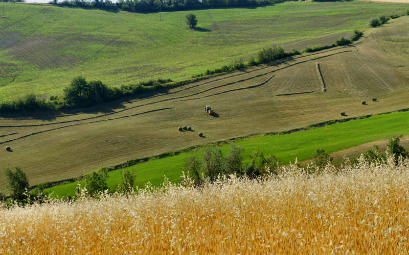 Bologna, Settefonti, Tossignano