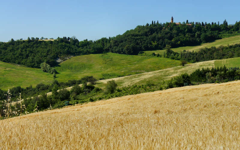 Bologna, Settefonti, Tossignano