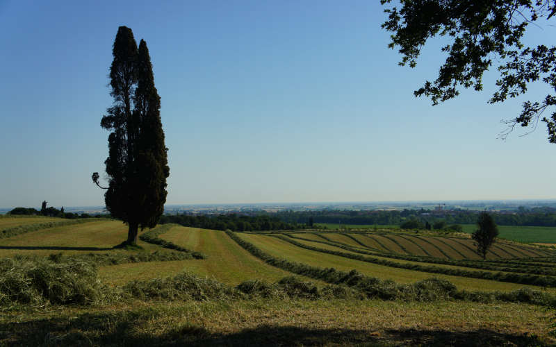 Bologna, Settefonti, Tossignano