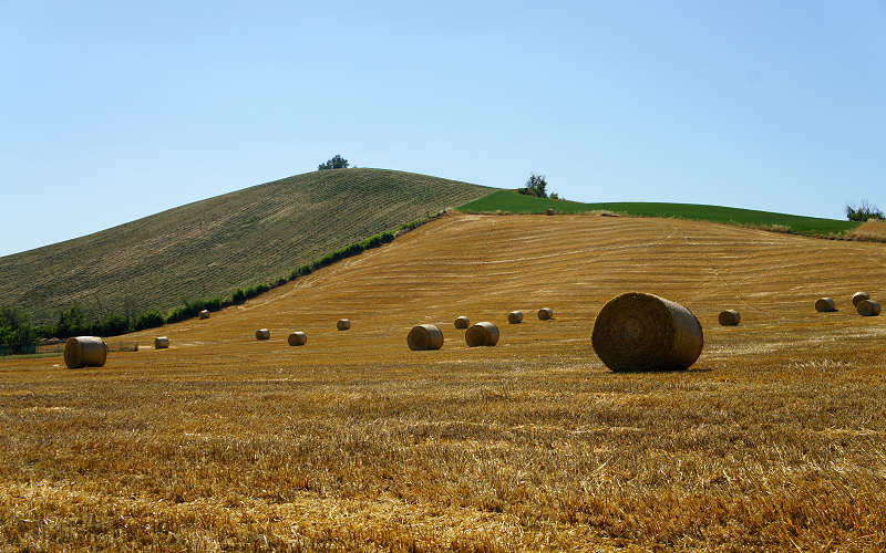 Bologna, Settefonti, Tossignano