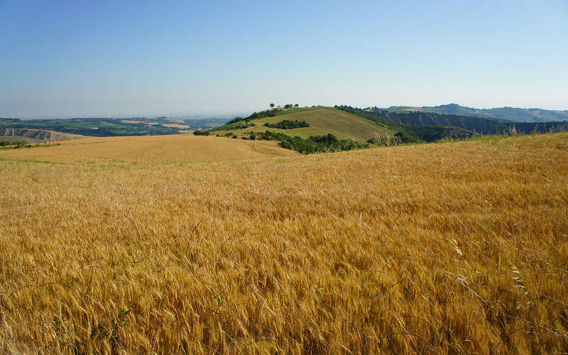 Bologna, Settefonti, Tossignano