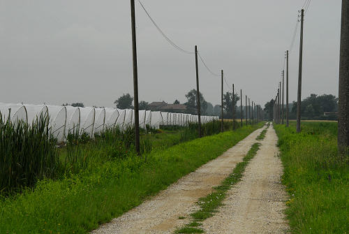 Emilia, San Felice sul Panaro