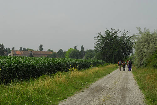 Emilia, San Felice sul Panaro