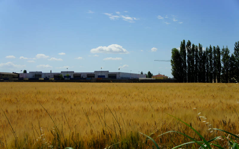 Cammino di S.Antonio, tratto Ferrara Bologna