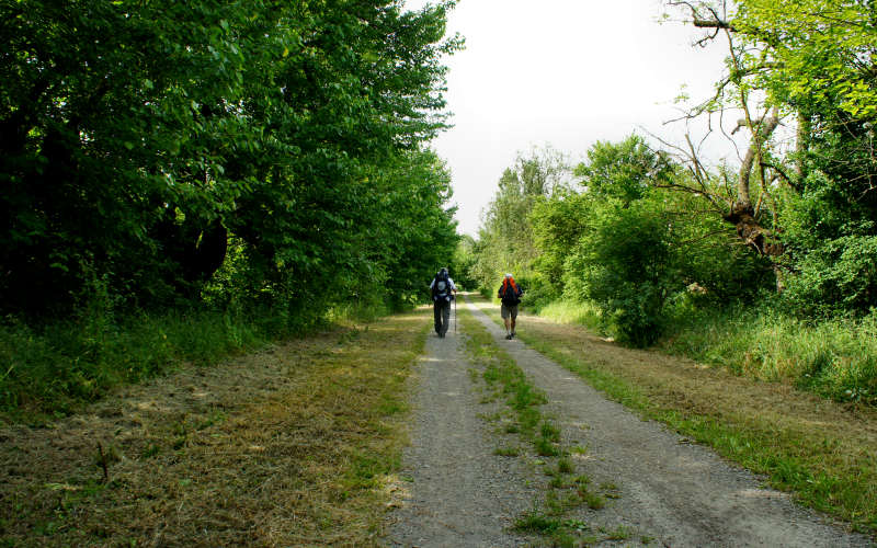 Cammino di S.Antonio, tratto Ferrara Bologna