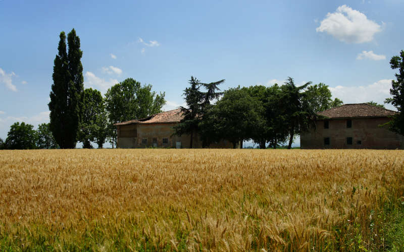 Cammino di S.Antonio, tratto Ferrara Bologna